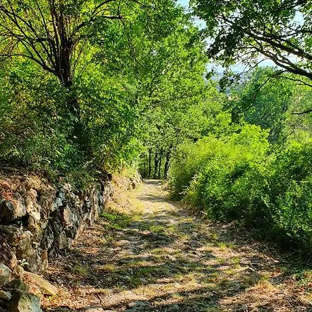 Giardini Hurz * ピエトレルチーナ