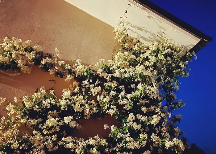 Giardini Hurz 农家乐